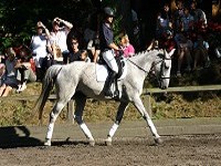 Weekday Private Adult Riding Lesson