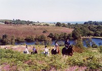 A hack in beautiful Devon heathland