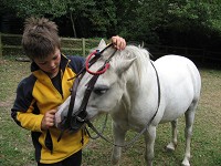Childrens Own a Pony Day - weekday attraction, Budleigh+Salterton