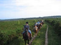 Weekday Picnic Ride for Two people attraction, Budleigh+Salterton