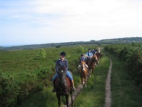 Weekday Picnic Ride for Two people