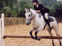 A three day riding course attraction, Budleigh+Salterton