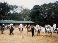 Weekend private lesson for a child attraction, Budleigh+Salterton