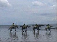 One hour hack for 2 people