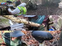 Extreme Paintballing - half day for 4 attraction, Great+Torrington Extreme Paintballing - half day for 4 attraction, Great+Torrington