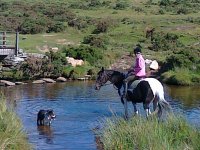 War Horse Country Ride attraction, Princetown