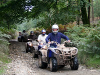 Stag Hen Quad Bike Safari Experience for 6 attraction, Dawlish