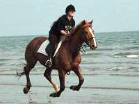 Horse Riding on the Beach