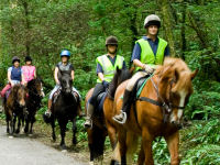 Two hour hack in scenic South Wales