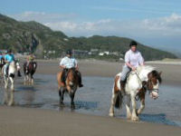 Estuary and Beach ride for beginners riders x 2