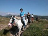 Estuary trek for beginner and novice riders x1