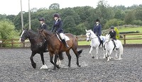 Adult horse riding lesson