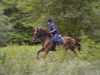 Hacking experience for 2 in  Windsor Great Park