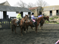 30 minute Hack in Isle of Wight for 2 youngsters 