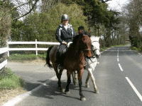 1 Hour Hack in Isle of Wight - Adult