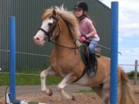 First Lead Rein Riding Lesson - Child
