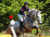 45 minute Private Riding Lesson - Adult 