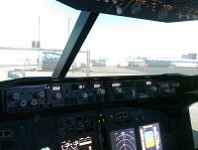 Flight simulator picture